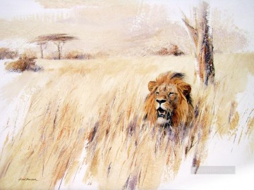 lion in grass 2 Oil Paintings